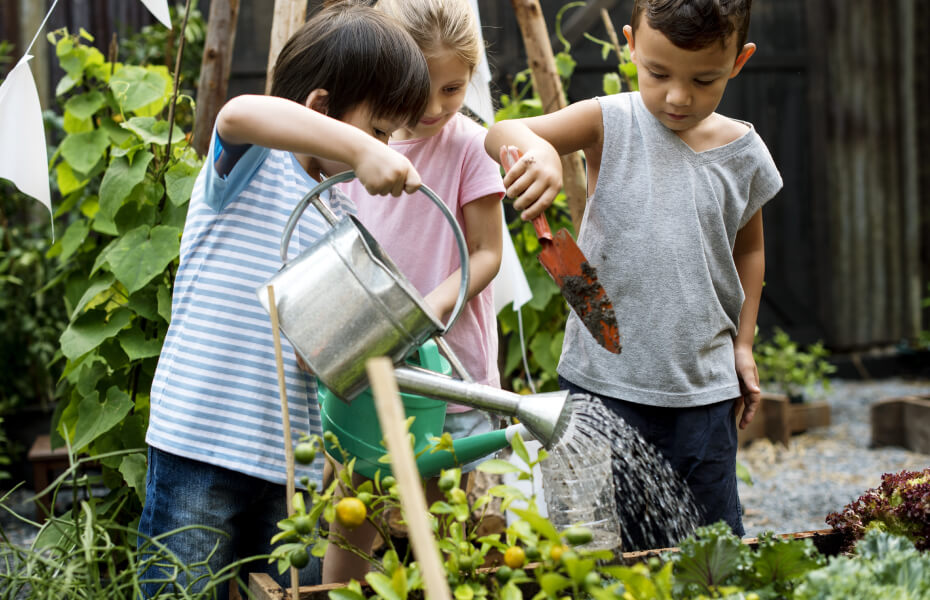 Container Gardening