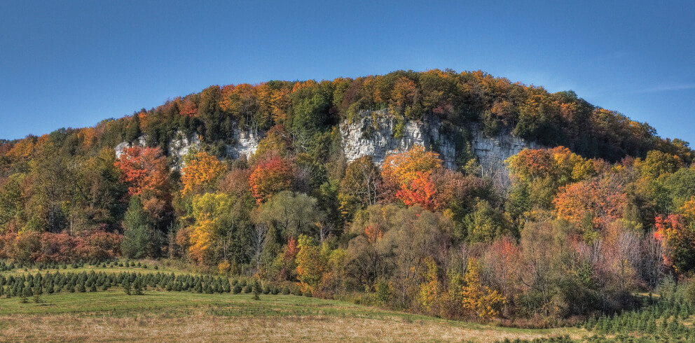 RATTLESNAKE POINT