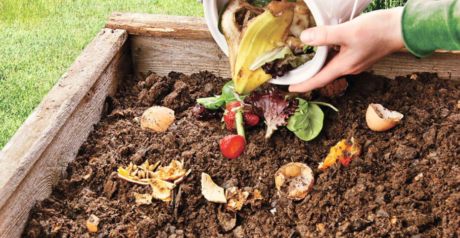 START A COMPOST PILE