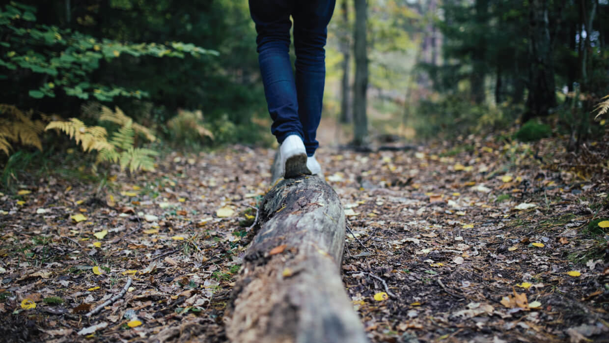 GREAT GTA FALL HIKES IN 2019