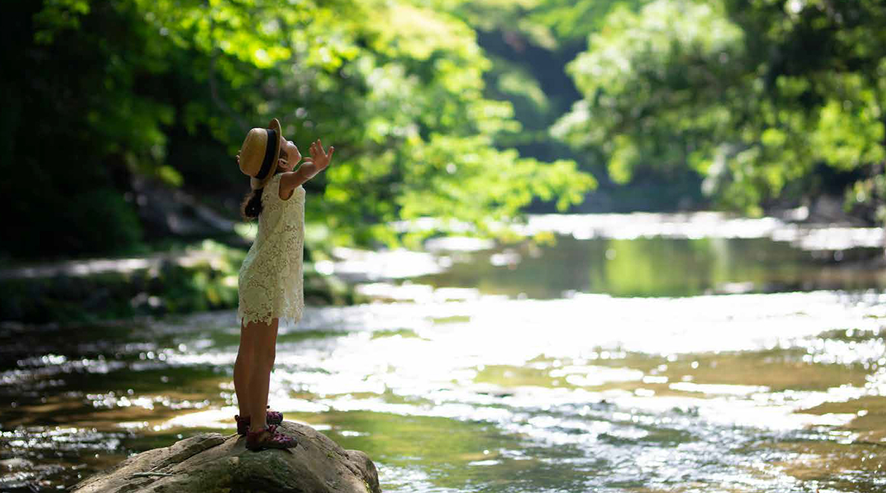 creek and forest